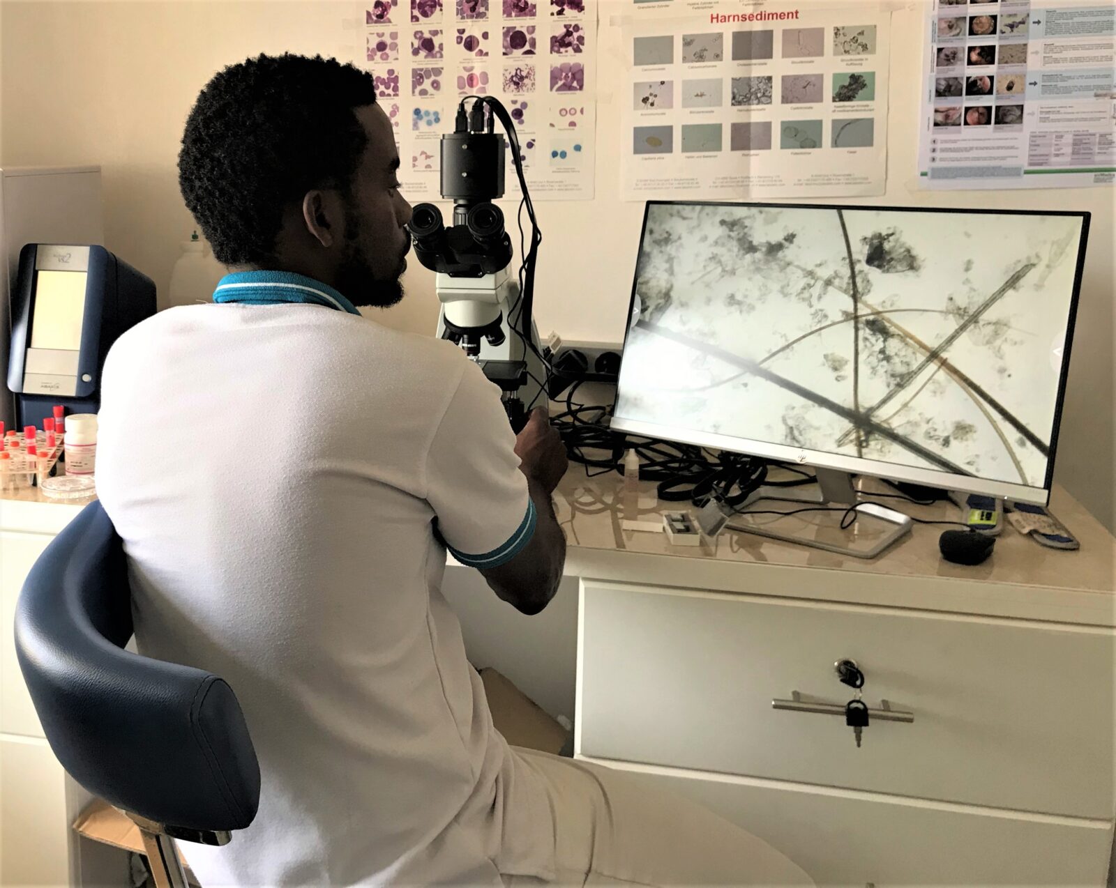 Mikroskopische Analyse – Krankheitsdiagnose und Forschung